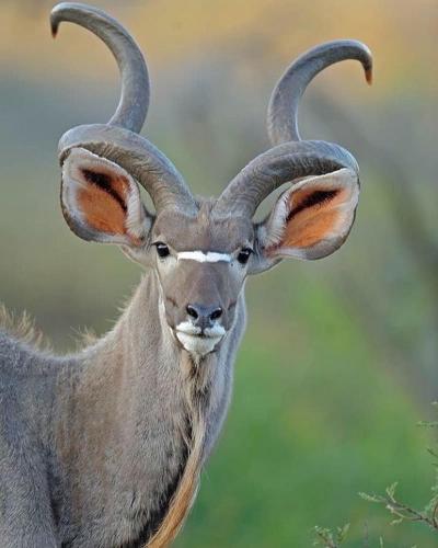 317947488_8710047592346438_3160484486573796182_n