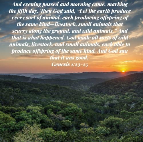 Screenshot_20221206-071921_Bible