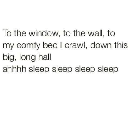 window-wall-my-comfy-bed-crawl-down-this-big-long-hall-ahhhh-sleep-sleep-sleep-sleep