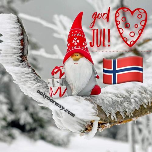 FB_IMG_1671923879819