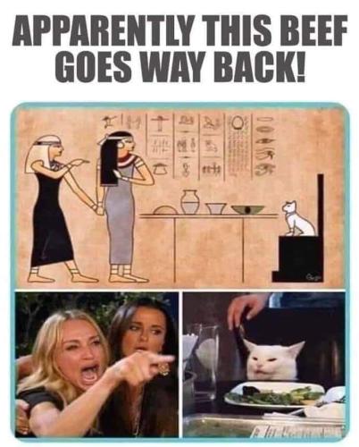 FB_IMG_1670519421069