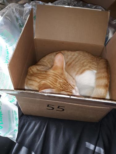 3f74751a-33f0-40ad-9215-3e33fe294841