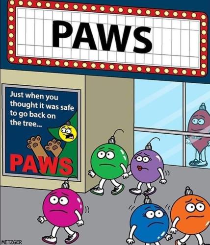 FB_IMG_1671706632944