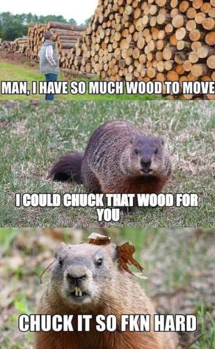 FB_IMG_1671414256448