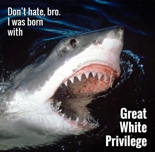 Screenshot_20221216_234949_Instagram