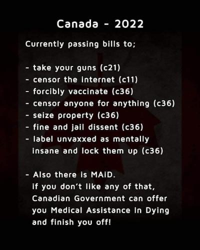 DC574A48-46D8-47C1-B576-6422DAFDC96C-20006-000003778610A648