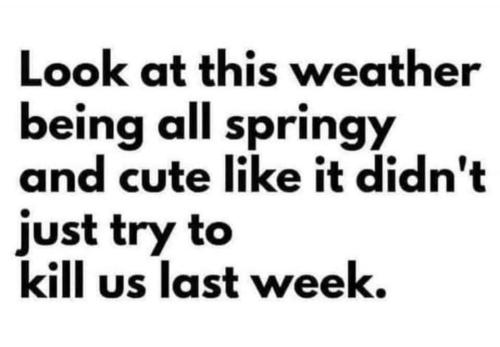 FB_IMG_1672346445701