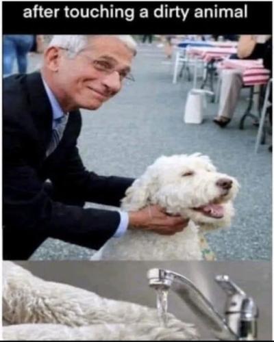 90mimb_1767e8008bd2a82e4bc0fa8ace77fcf1_ea610b8d_540