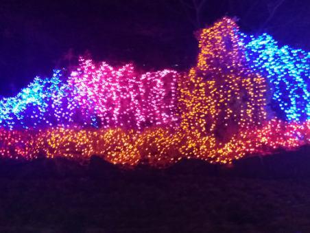 e287f0bd-f57d-42b2-91d5-6ddaf9ab5a1d