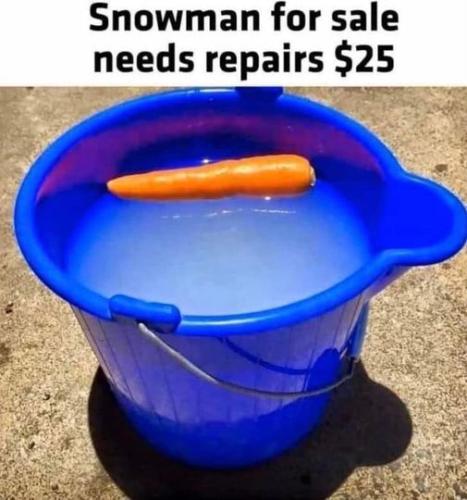 snowman4sale_needs_repairs