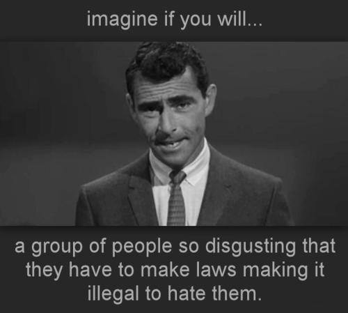 a group of people so disgusting that they have to make laws making it illegal to hate them