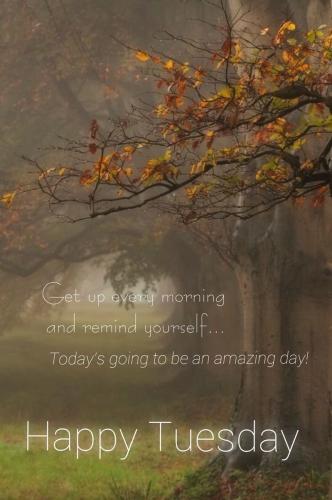 05:29:21 GMT-0800