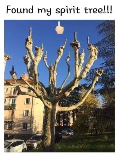 FB_IMG_1670119585186