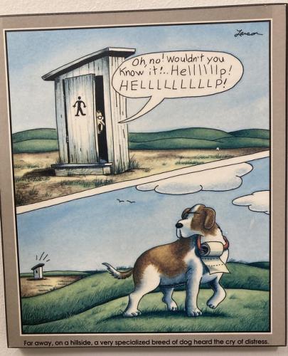 321947156_672652797676764_6511712623294251178_n