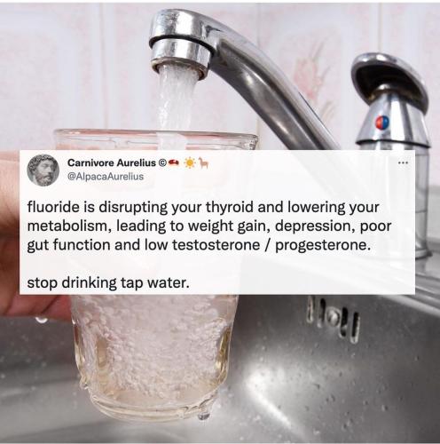 Screenshot_2022-11-29-23-09-25-41_1c337646f29875672b5a61192b9010f9