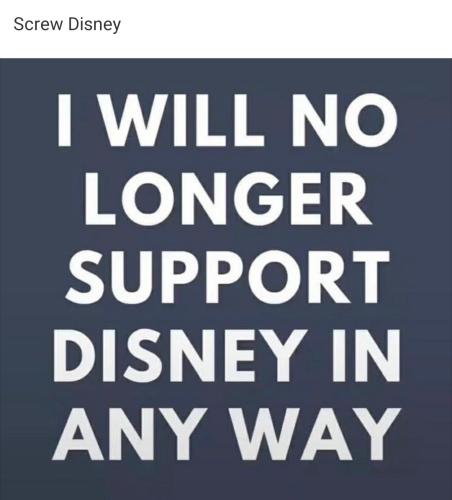 Disney support