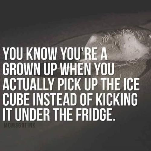 FB_IMG_1670117038865