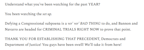 Bannon Testify 2