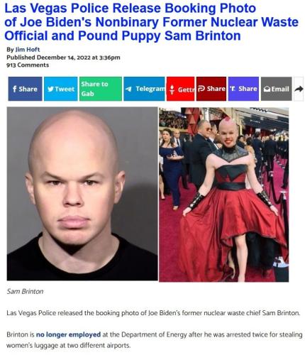 Bidens Pound Puppy meme