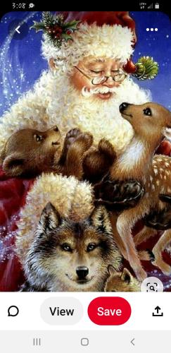 Screenshot_20221215-150833_Pinterest