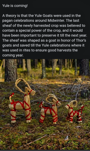 Screenshot_20221204-090018~2