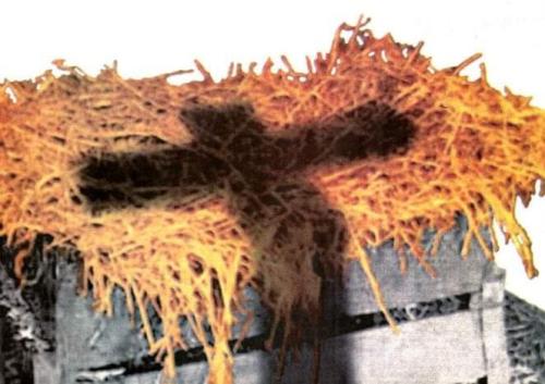 5b372294-733f-4e3e-808b-fcd21174182a