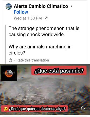 09:07:46 GMT-0500 (EST)