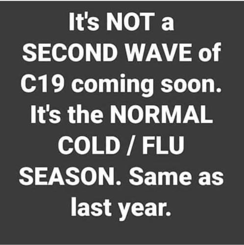 Screenshot_2022-12-22-12-06-27-26_1c337646f29875672b5a61192b9010f9