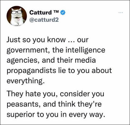 lies76
