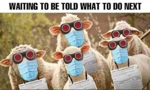 FB_IMG_1672237258432