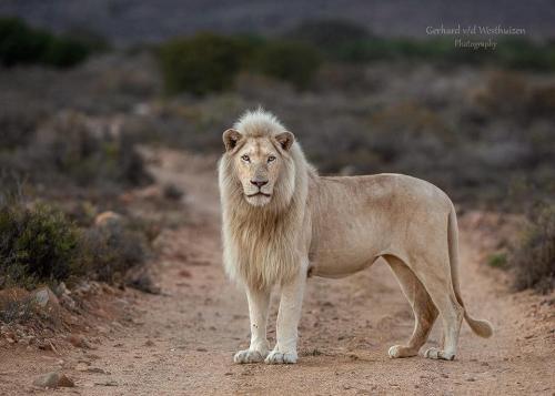 318719285_8727156083968922_5163486292647542602_n