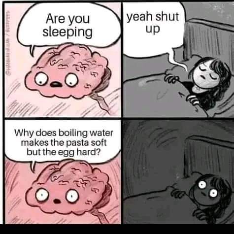 317709823_819465209344098_6763001759808190405_n