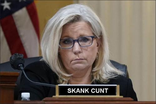 liz cheney15