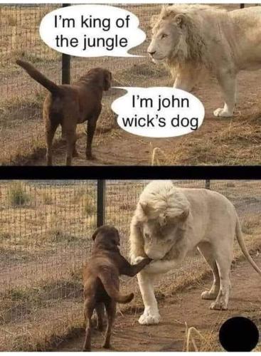 FB_IMG_1672435271941
