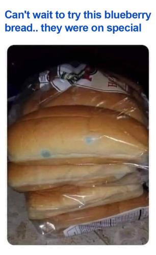 FB_IMG_1672522434895