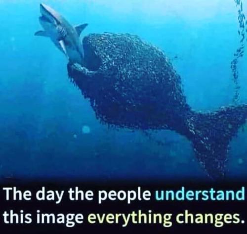 Screenshot_2022-12-19-19-37-56-49_1c337646f29875672b5a61192b9010f9