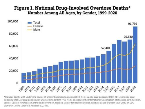 Drug Deaths 1