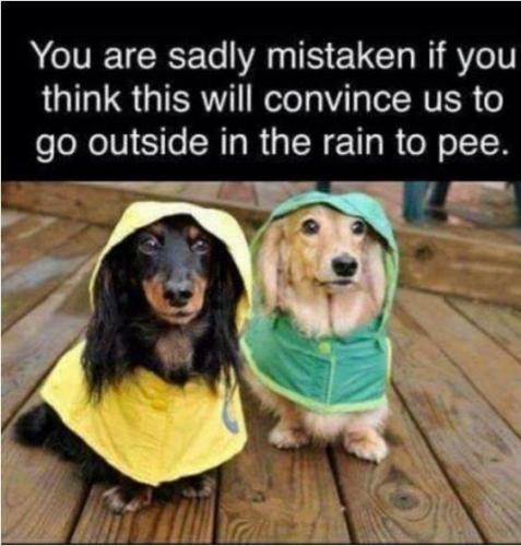 d4f49b7f-deb0-4fca-8d49-61f405a9b346