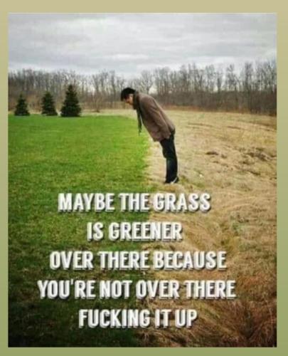 Screenshot_2022-12-08-17-11-27-28_1c337646f29875672b5a61192b9010f9