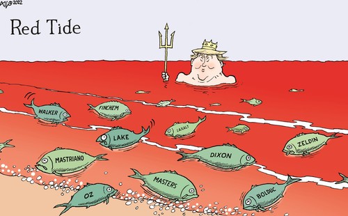 aria_c19434420221114103036-500x310