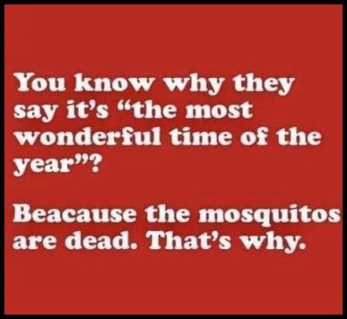 tumblr_ff2f45a11862cb9f463498d1063786ba_8061903b_540