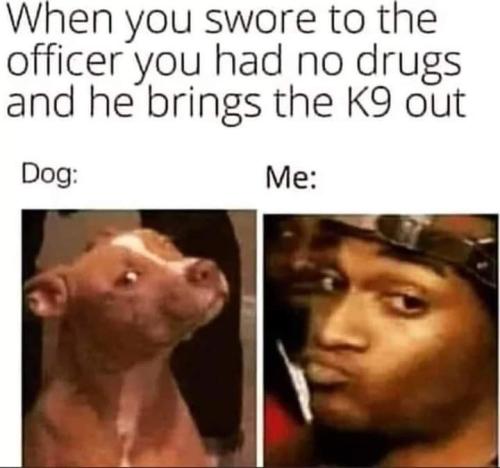 FB_IMG_1670961010670