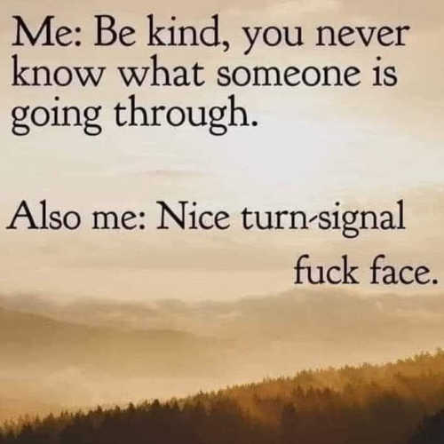 be-kind-never-know-going-through-nice-turn-signal-fck-face