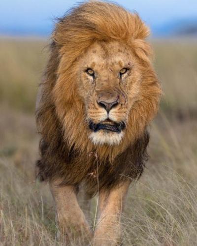 tumblr_6b13e9e811fbf4699d9960c15327d708_3b7a3519_540