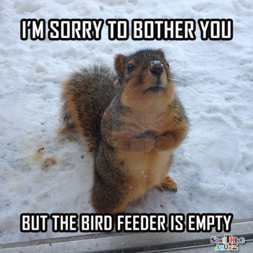 15267577_371451736523170_8917056247120207070_n