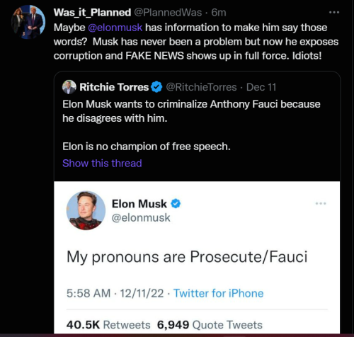Musk 1
