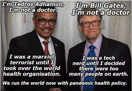 bill gates75