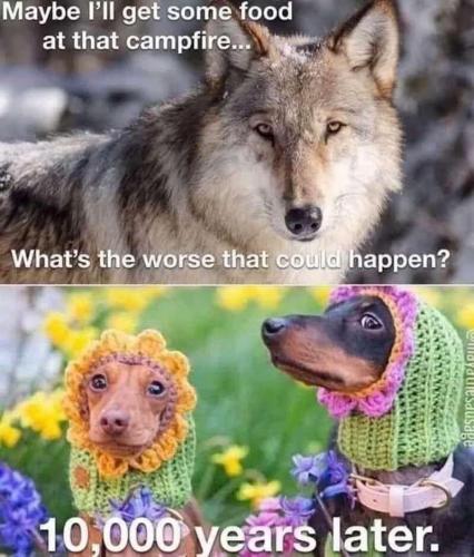 b73b048d-1e36-4249-b3cf-c5ce88751bfc