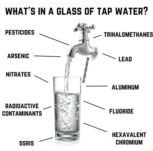 Screenshot_2022-11-29-23-07-10-46_1c337646f29875672b5a61192b9010f9