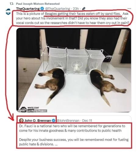 photo_2022-12-13_23-48-22